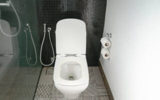 Douchettes : guide d’achat pour installer une douchette wc