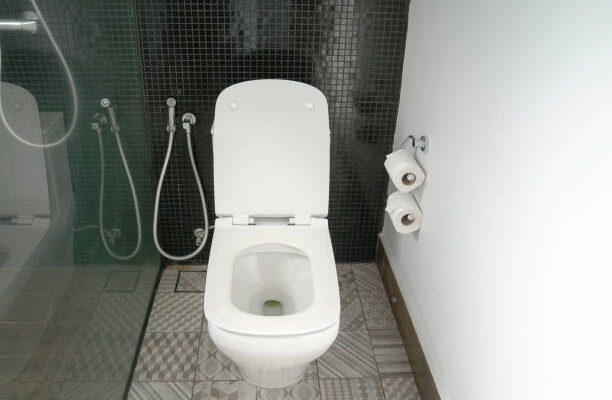 Douchettes : guide d’achat pour installer une douchette wc